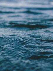 Jiang Mingzhu Zhou L